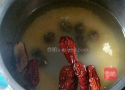 红枣桂圆小米粥的做法图解5