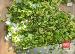 白菜香菇包的做法图解2