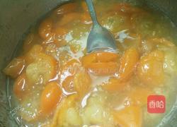 冰糖金桔的做法图解7