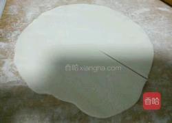 白菜猪肉肉饼的做法图解7