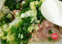 红烧狮子头的做法图解4