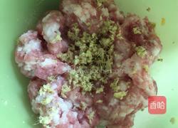 狮子头的做法图解2