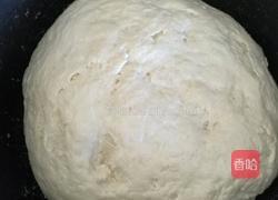 锅贴的做法图解2