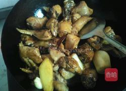 香菇炖鸡的做法图解4