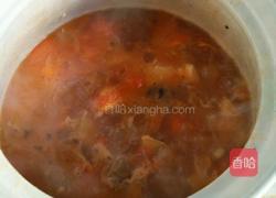 西红柿炖牛腩的做法图解14