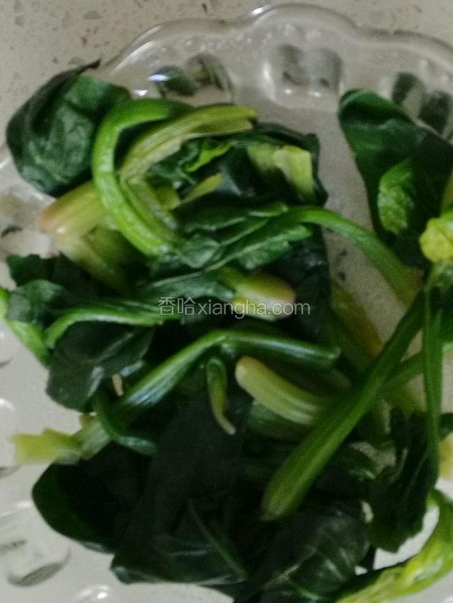 菠菜焯好后，用少许盐拌匀入味；
