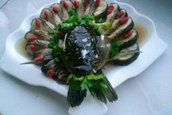 草鱼的花样做法