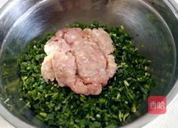 韭菜猪肉水饺的做法图解5