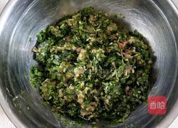 韭菜猪肉水饺的做法图解7