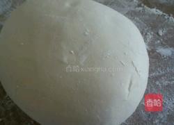 黄金煎水饺的做法图解1