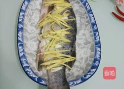 清蒸海鲈鱼的做法图解7