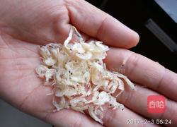 虾皮鸡蛋羹的做法图解7
