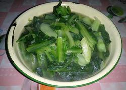 水煮油麦菜