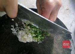 自制姜蓉的做法图解5