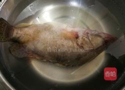 臭桂鱼的做法图解1