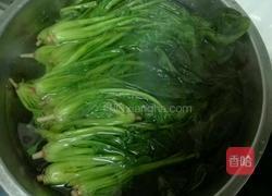 菠菜粉丝的做法图解5