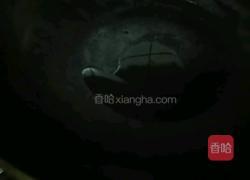 菠菜粉丝的做法图解10