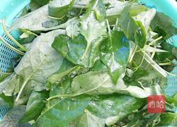 白花菜汤的做法图解1