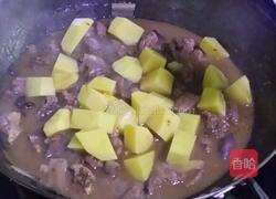 小野鸡炖蘑菇的做法图解12