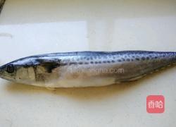 酱焖鲅鱼的做法图解2
