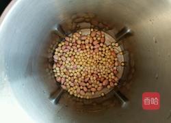 花生黄豆浆的做法图解3