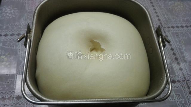 发酵至2.5倍大，发酵完成！