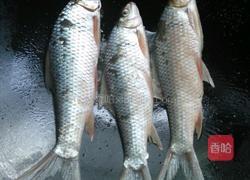 香煎鲮鱼的做法图解4