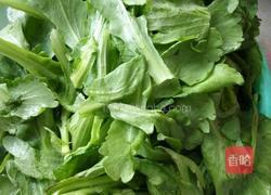 沙白煮松蒿的做法图解1