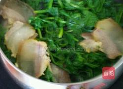腊肉煮荠荠菜的做法图解6