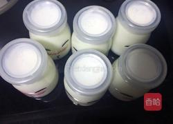 自制酸奶的做法图解8