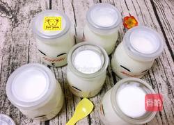 自制酸奶的做法图解9