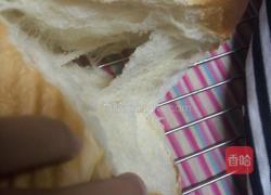 原味吐司的做法圖解10