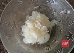春季养生汤虫草花金桔炖银耳的做法图解1