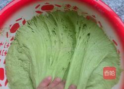 春色满餐桌之菠菜汁面团的做法图解8