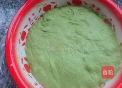 春色满餐桌之菠菜汁面团的做法图解7