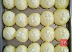 酸奶小餐包的做法图解8