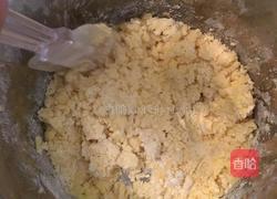 动物饼干的做法图解3