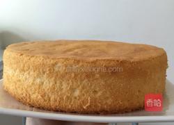 八寸酸奶蛋糕的做法图解12