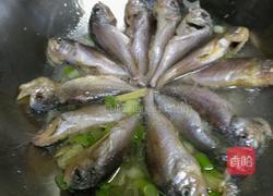 红烧大头宝的做法图解7