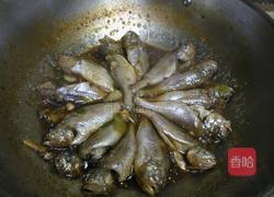 红烧大头宝的做法图解10