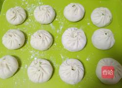 香菇菜包的做法图解7