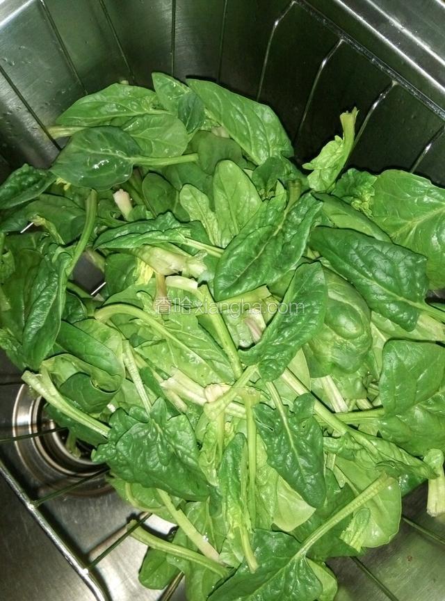 将菠菜洗净