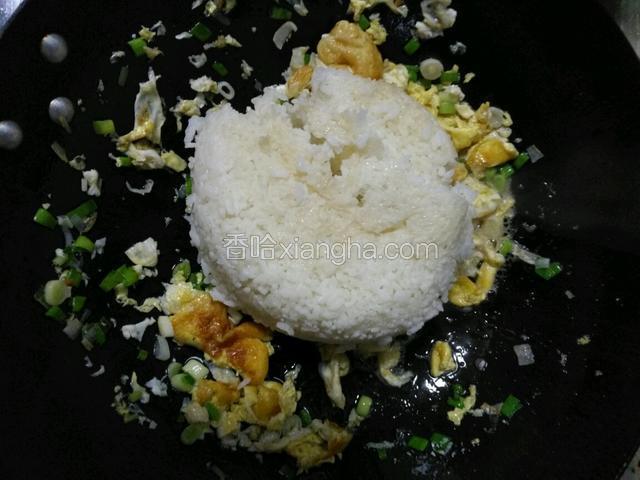 放入米饭。