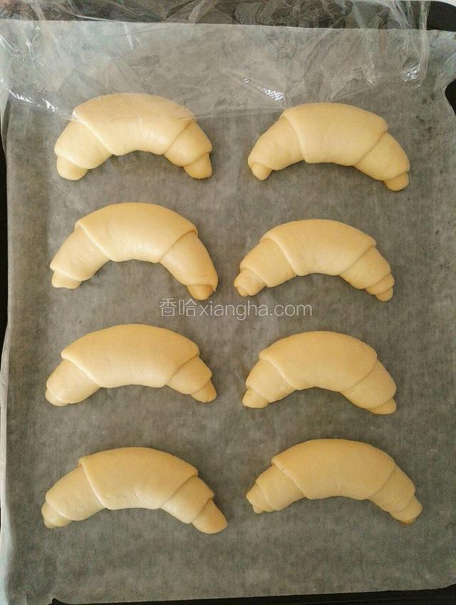 依次做好全部面包坯，放入铺了油纸的烤盘里