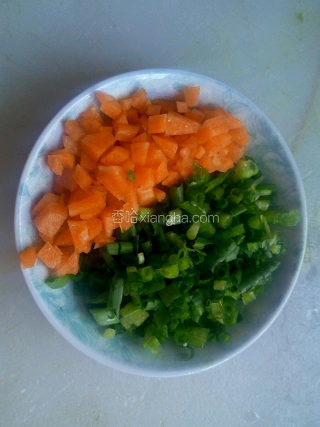 蔬菜烤箱脱水，100℃，15分钟