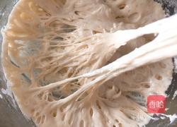 poolish（波兰种）汉堡胚的做法图解2