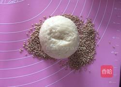 poolish(波兰种)汉堡胚的做法图解9