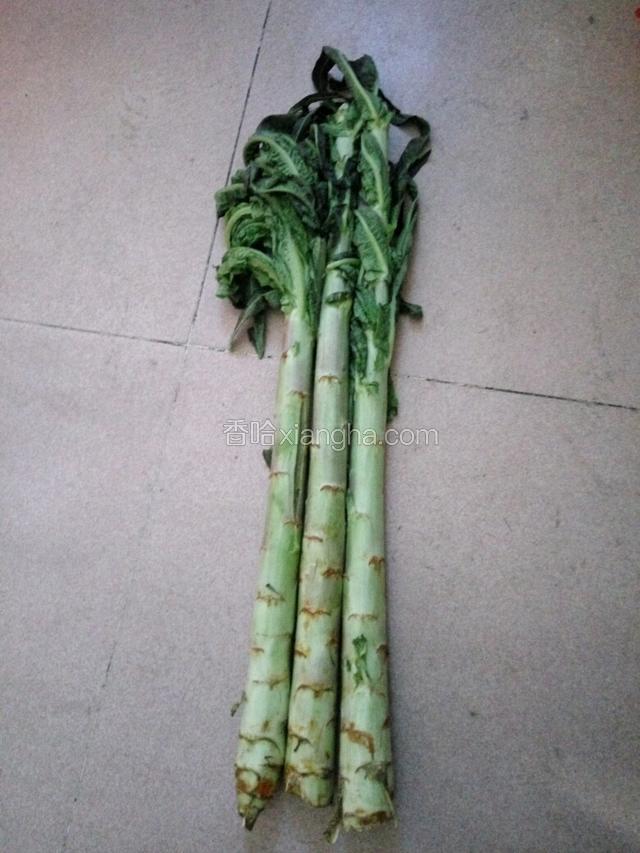 准备好三棵莴苣