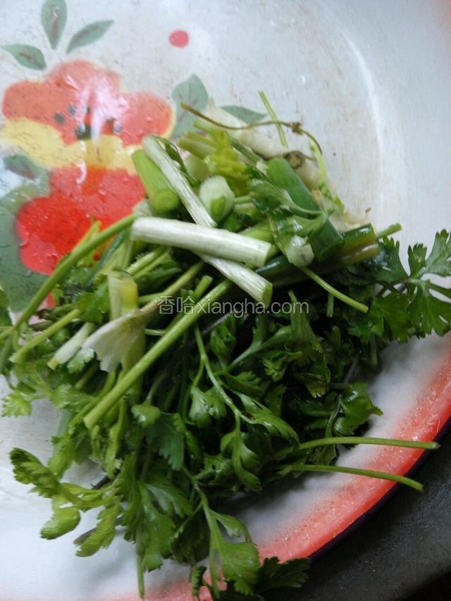 把葱和芫荽切断