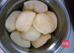四味苹果清润汤的做法图解3